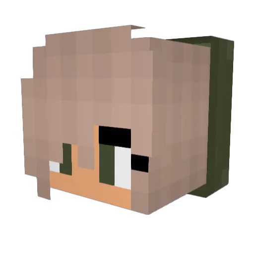 Aneytis Minecraft avatar head, 3D render