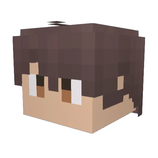 Anfeis Minecraft avatar head, 3D render