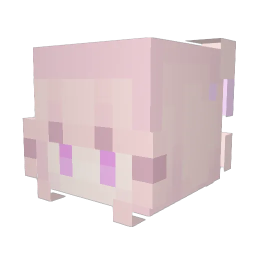 Ang1397 Minecraft avatar head, 3D render
