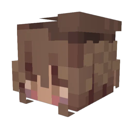 Ange1icide Minecraft avatar head, 3D render