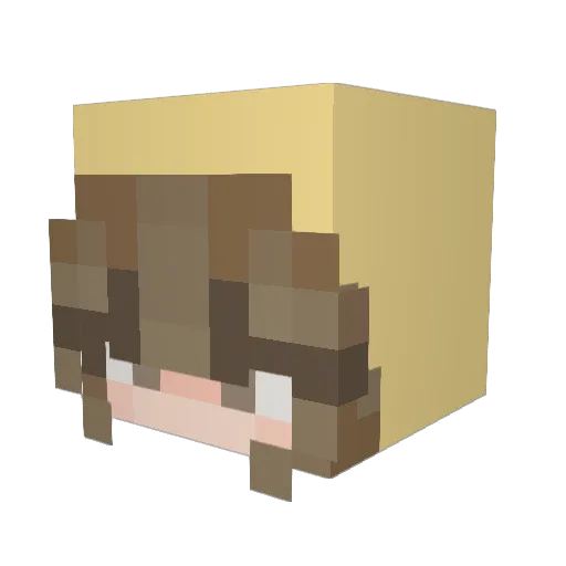 Ange281298 Minecraft avatar head, 3D render