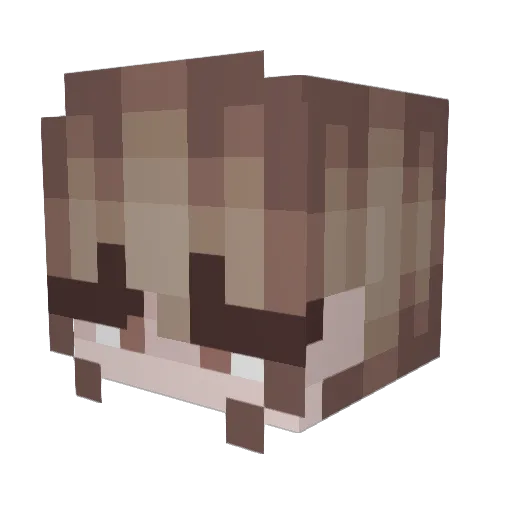 Angel0fKira Minecraft avatar head, 3D render