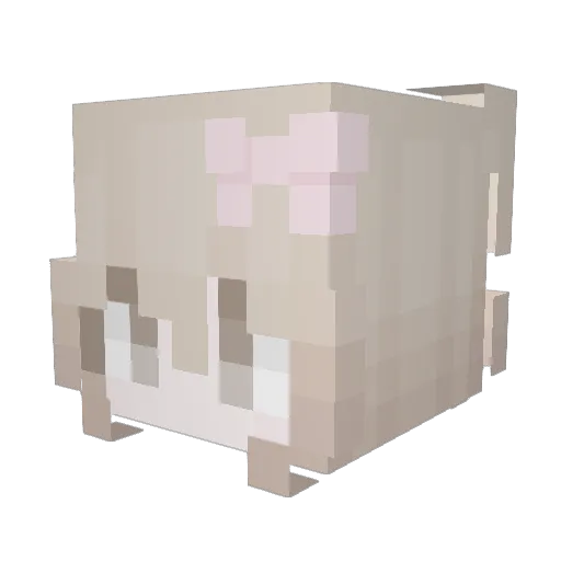Angel505 Minecraft avatar head, 3D render