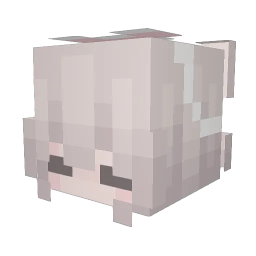 AngelArii Minecraft avatar head, 3D render