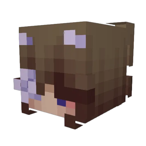 AngelBear333 Minecraft avatar head, 3D render