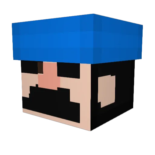 AngelClash23 Minecraft avatar head, 3D render