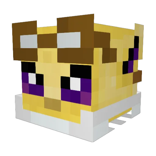 AngelDR Minecraft avatar head, 3D render