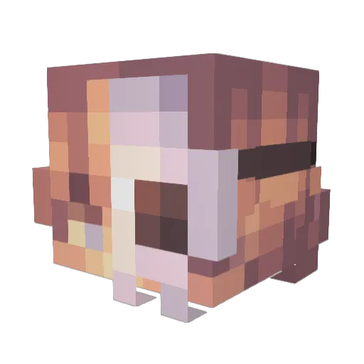 AngelDaBoi Minecraft avatar head, 3D render