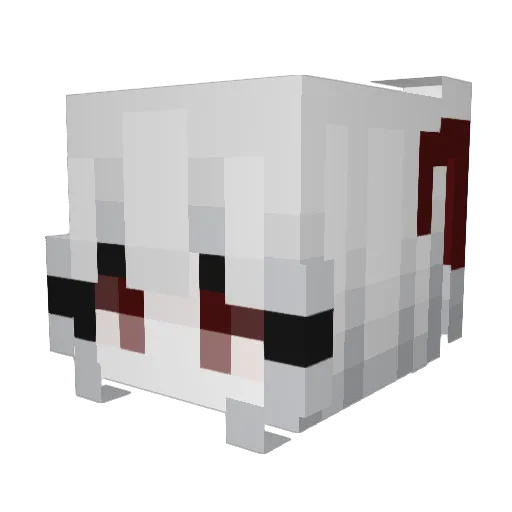 AngelEvy06 Minecraft avatar head, 3D render