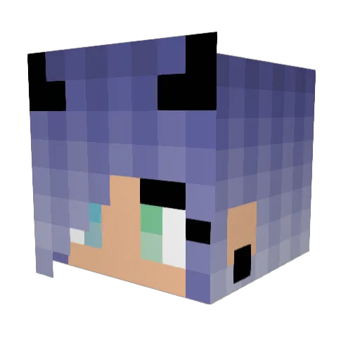 AngelFire0208 Minecraft avatar head, 3D render