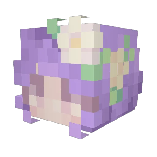 AngelFongaOwO Minecraft avatar head, 3D render