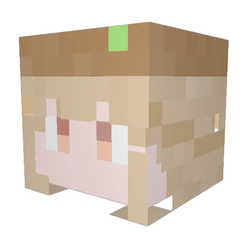 AngelLight07 Minecraft avatar head, 3D render