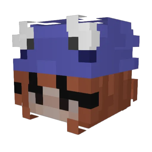 AngelMagic13 Minecraft avatar head, 3D render