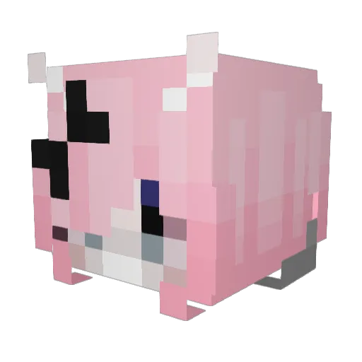 AngelOfSol Minecraft avatar head, 3D render
