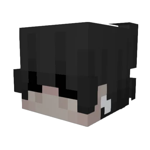 AngelSnowy Minecraft avatar head, 3D render