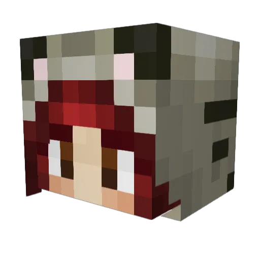 AngelTigressX Minecraft avatar head, 3D render