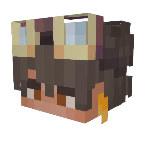 Angel_0 Minecraft avatar head, 3D render