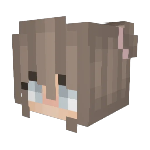 Angel_NL Minecraft avatar head, 3D render
