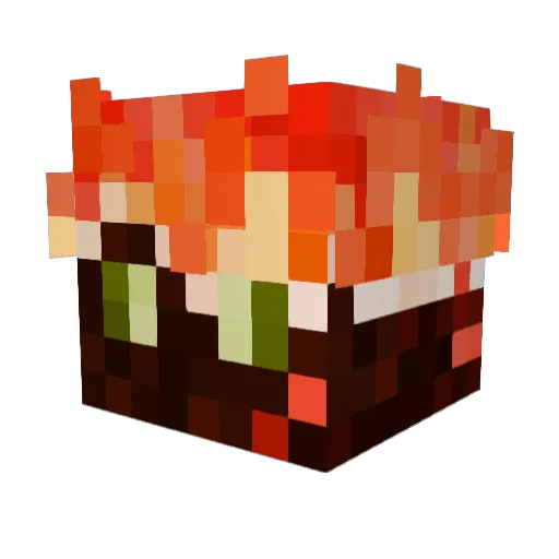 Angel_Warrior062 Minecraft avatar head, 3D render