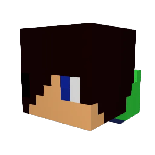 Angela_chien Minecraft avatar head, 3D render