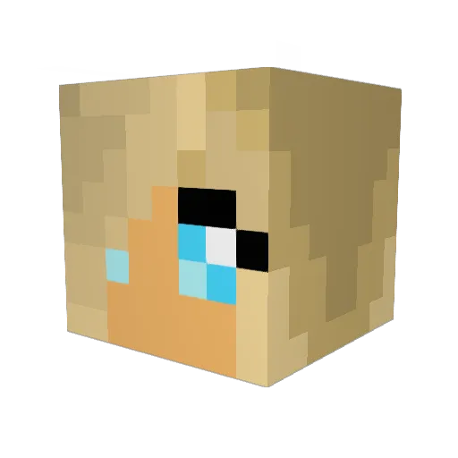 Angelfalls12 Minecraft avatar head, 3D render