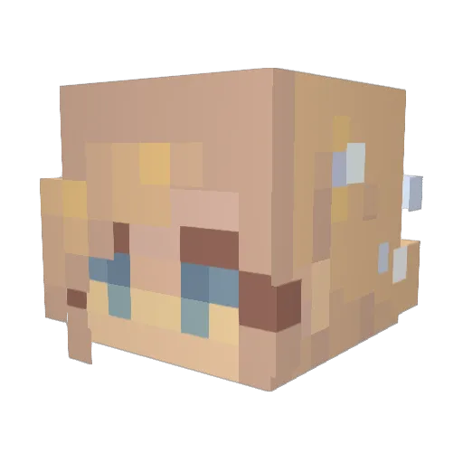 AngelinaNina1 Minecraft avatar head, 3D render