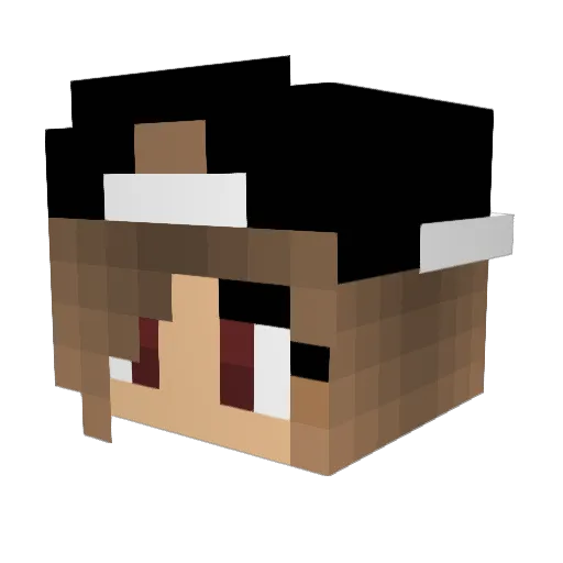 Angelique2017 Minecraft avatar head, 3D render