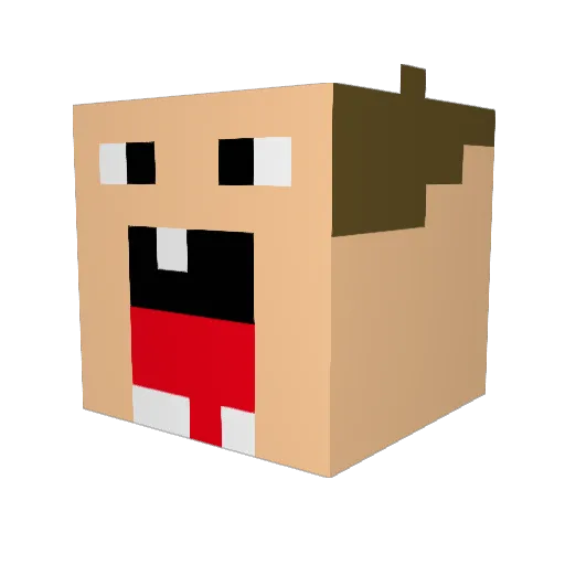 AngeloNapoli Minecraft avatar head, 3D render