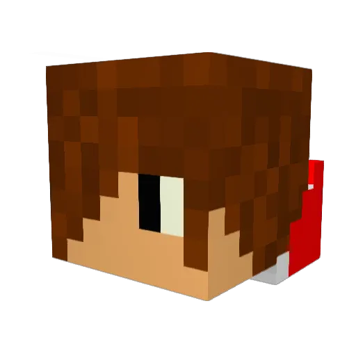 Angelofcool Minecraft avatar head, 3D render
