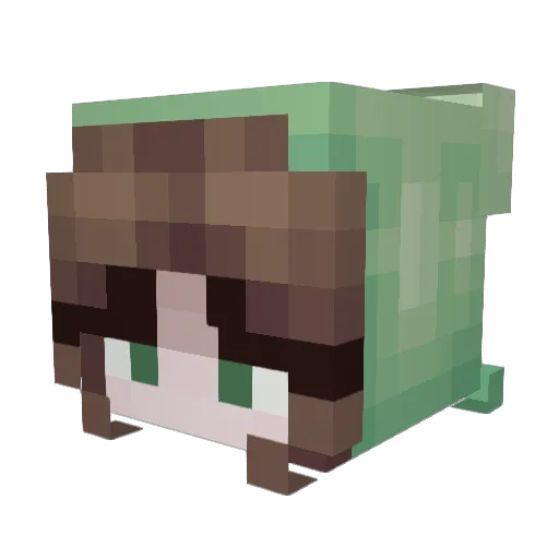 Angels_Em Minecraft avatar head, 3D render