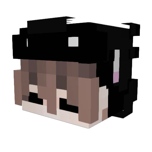 Angels_LOS Minecraft avatar head, 3D render