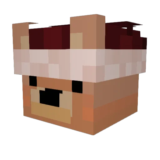Angelsaintt Minecraft avatar head, 3D render