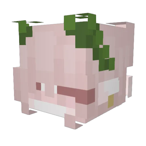 Angelx766 Minecraft avatar head, 3D render