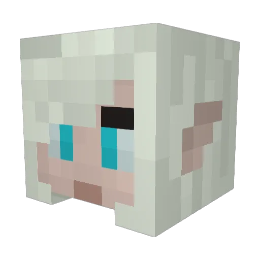 AngerNoodle Minecraft avatar head, 3D render