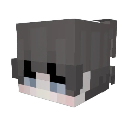 Angermint_ Minecraft avatar head, 3D render