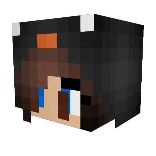 Angibear Minecraft avatar head, 3D render