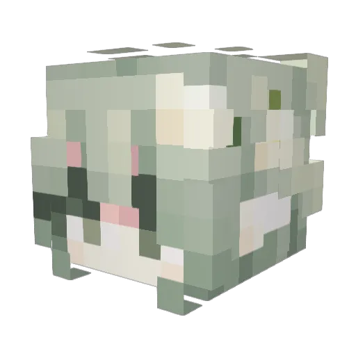 AngieDraw01 Minecraft avatar head, 3D render
