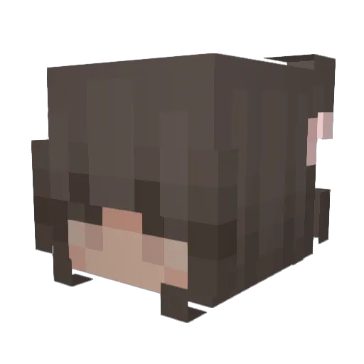 AngieLopez_ Minecraft avatar head, 3D render