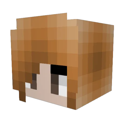 Angie_2016 Minecraft avatar head, 3D render