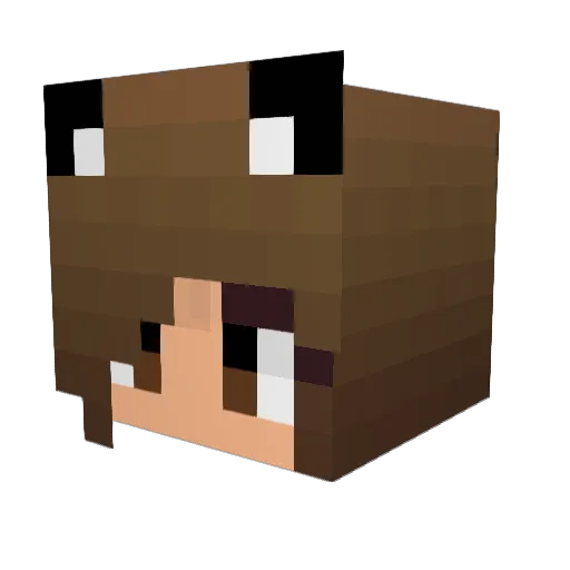 Angie_nana Minecraft avatar head, 3D render