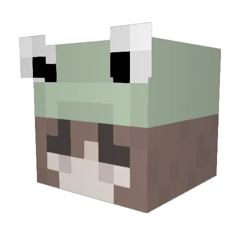 AngiesSkittles Minecraft avatar head, 3D render