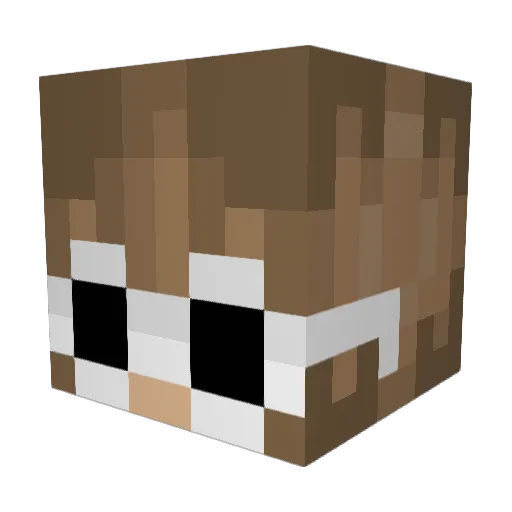 Angilbn Minecraft avatar head, 3D render