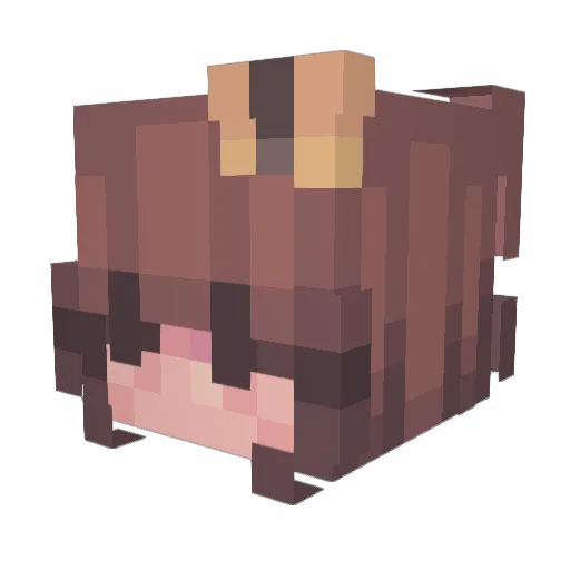 Angl2021 Minecraft avatar head, 3D render