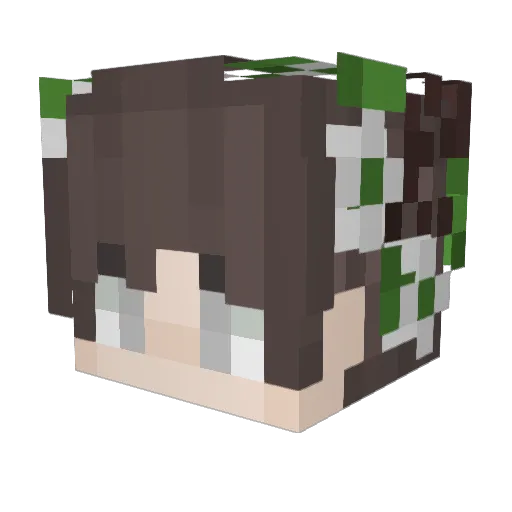 AngleCry Minecraft avatar head, 3D render