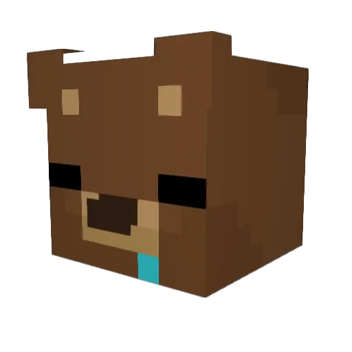 AnglerSeller Minecraft avatar head, 3D render