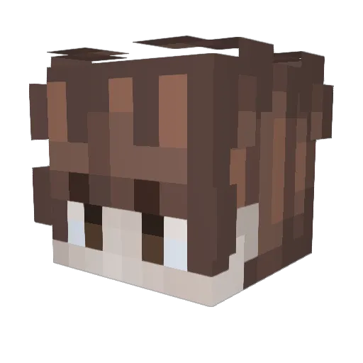Angler_Junior Minecraft avatar head, 3D render