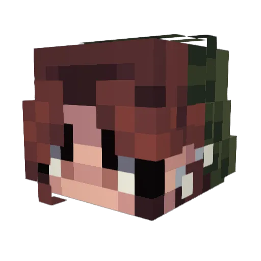 Anglickiwi Minecraft avatar head, 3D render
