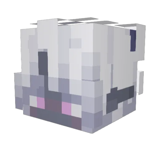 AngoraMunchkin Minecraft avatar head, 3D render