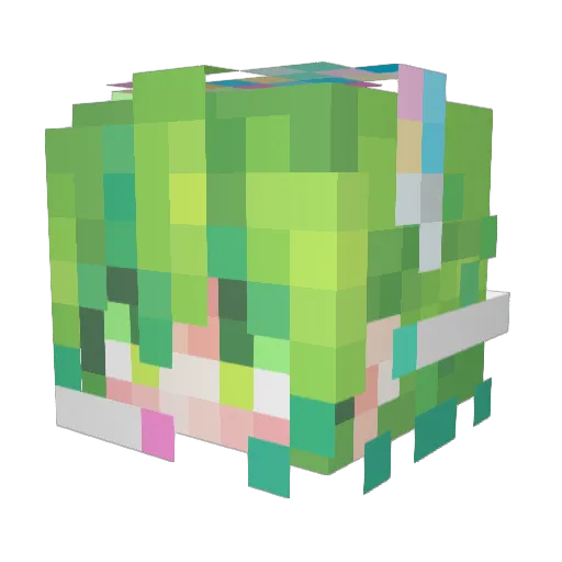 AngriPengui Minecraft avatar head, 3D render