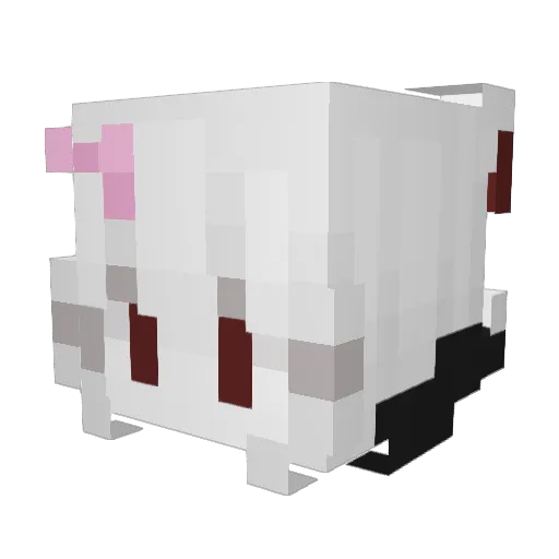 AngryAimer Minecraft avatar head, 3D render